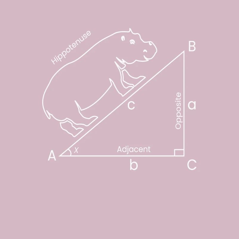 Hippotenuse Hippo Mathematics Math Pi