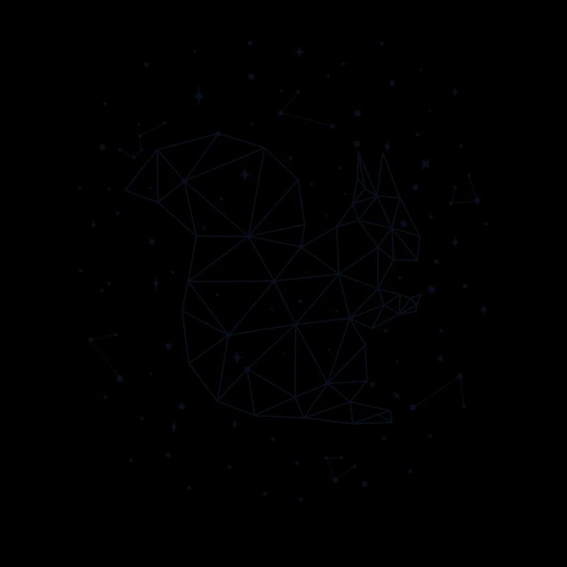 Constellation Squirrel Constellation Squirrel