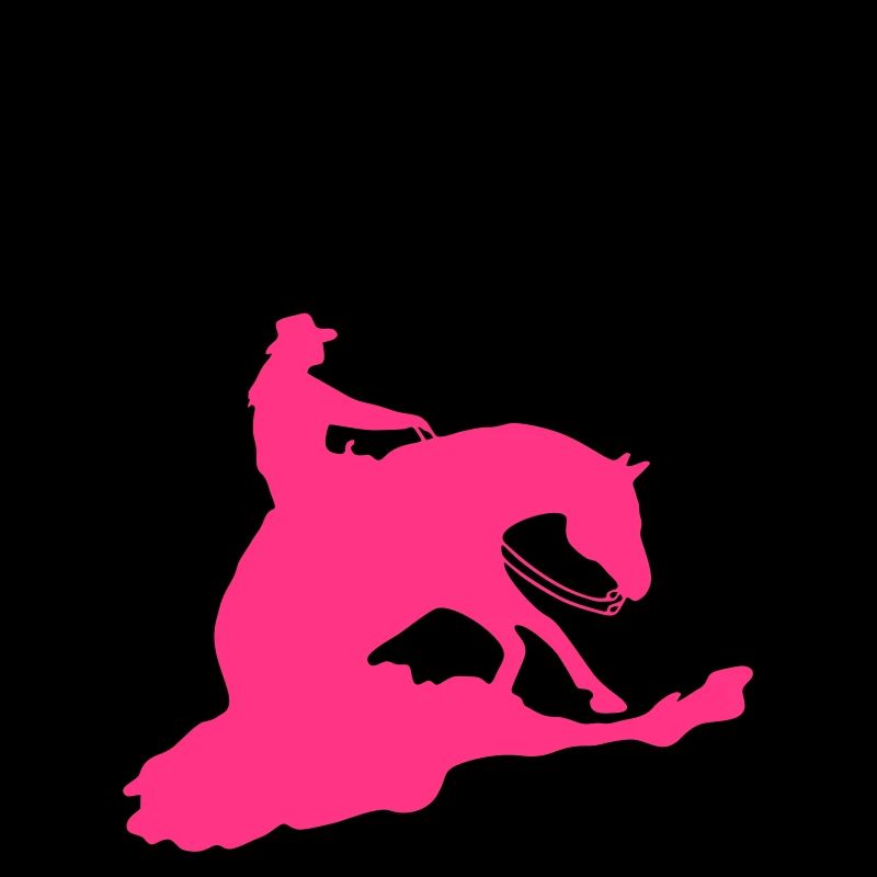 Reining Pattern Sliding Stop