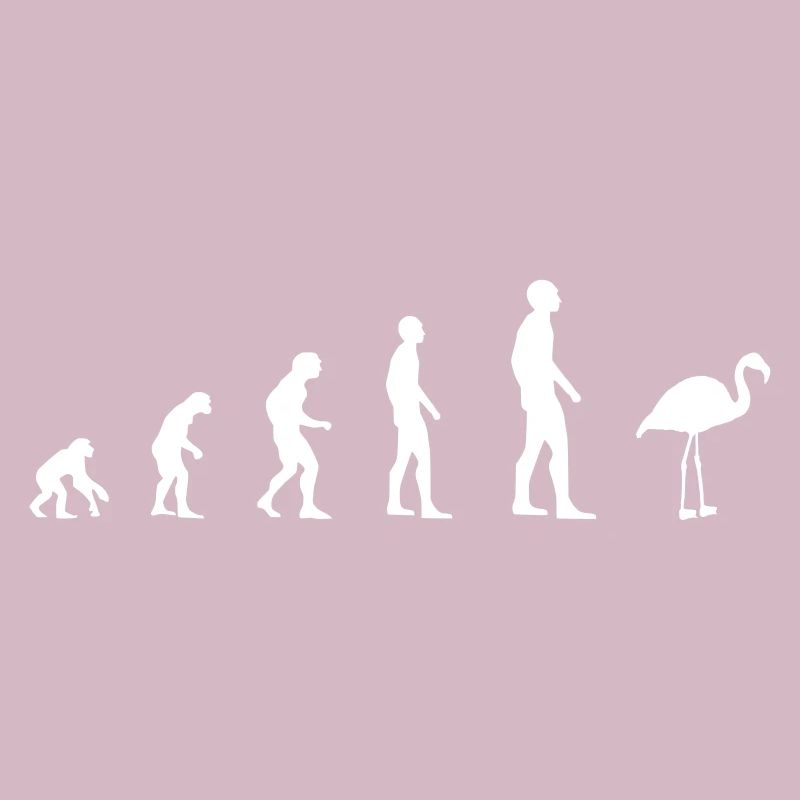 Flamingo - Evolution