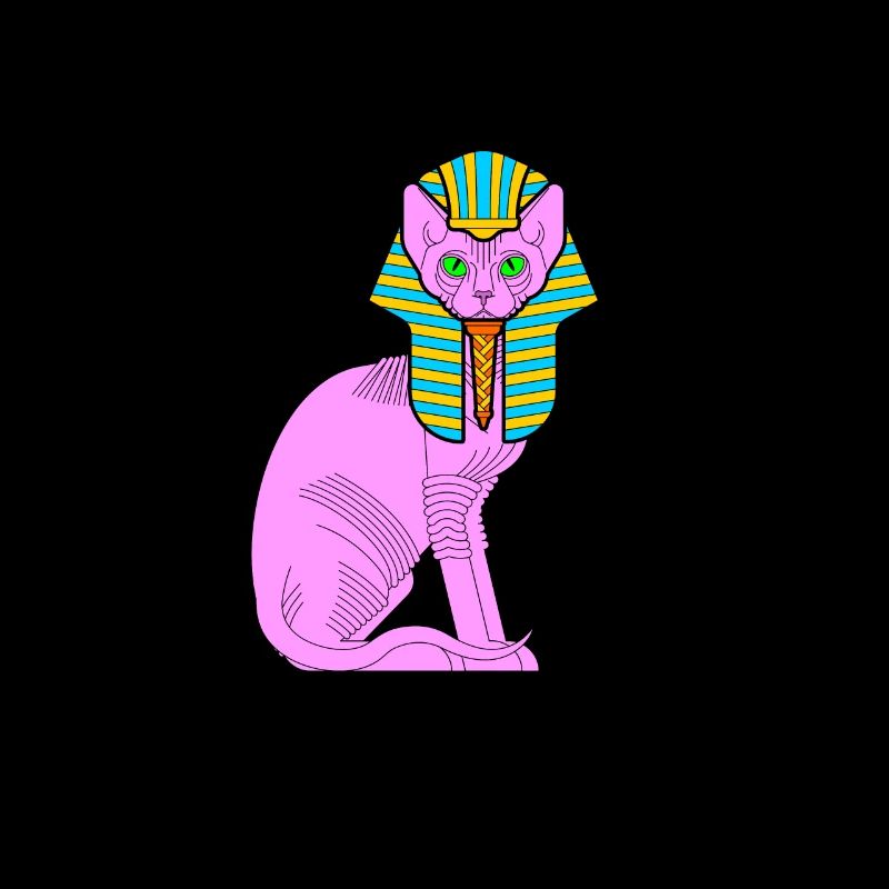 Sphynx Maman Chat Sans Poils Propriétaire de Chat