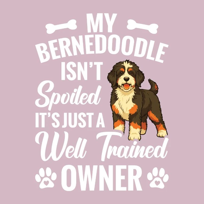 Mon Bernedoodle n’est pas gâté, c’est juste