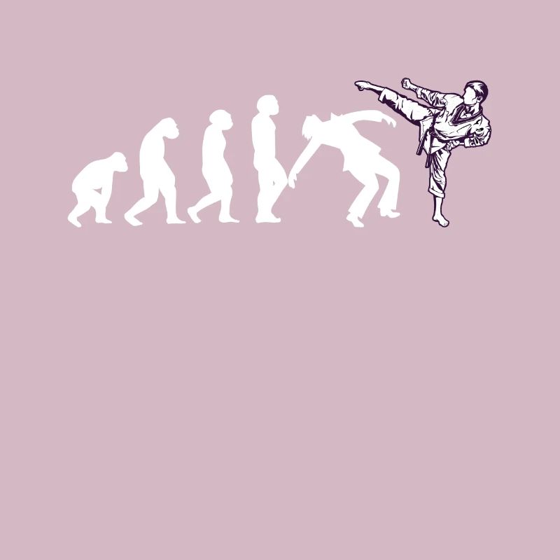 Evolution funny taekwondo karate aikido kickboxing