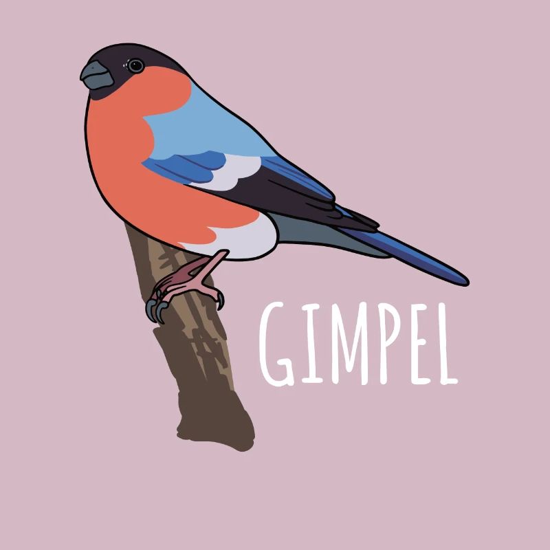 Dompfaff Gimpel Vogel Blutfink