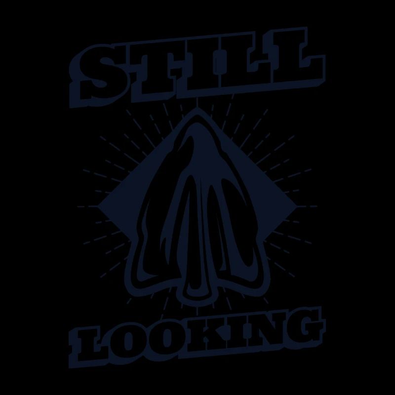 Still Looking Arrowhead Collecting Hunting Tips