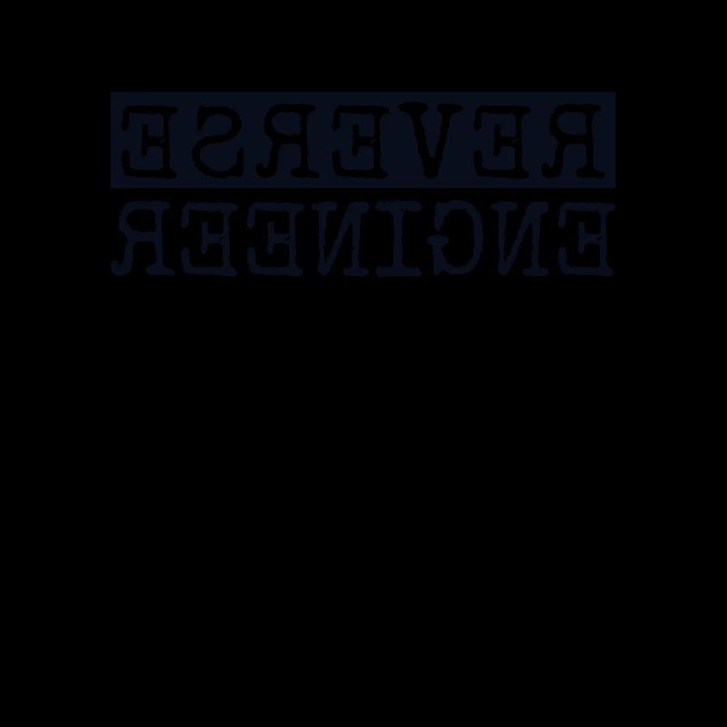 Reverse Engineer Softwareingenieur Developer