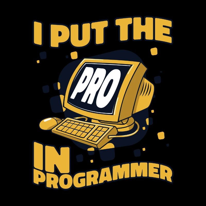 J’ai mis le pro dans Programmeur Developer Coder