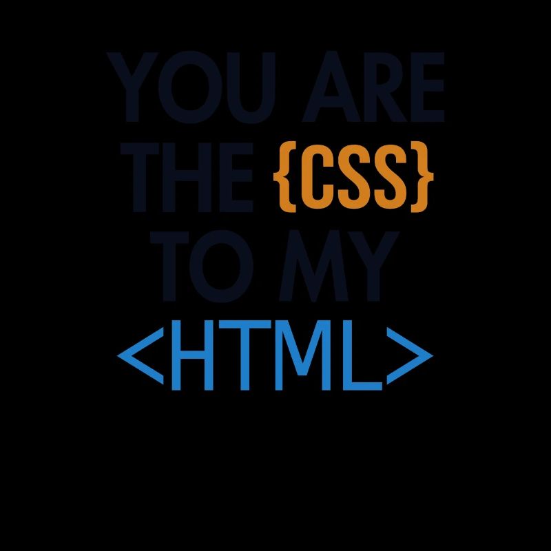 Vous êtes le CSS de mon HTML Developer Coder