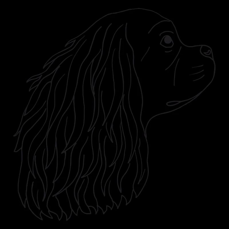 Cavalier King Charles Spaniel