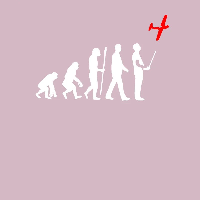 Evolution du modèle de vol