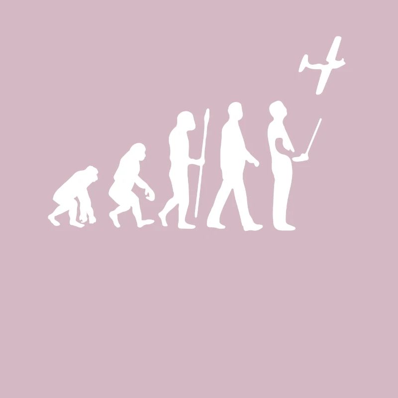 Model Flight Evolution
