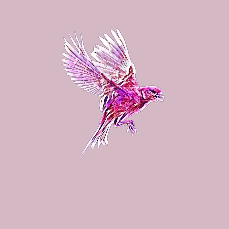 oiseau