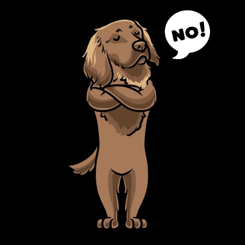 Stubborn German long-haired dog