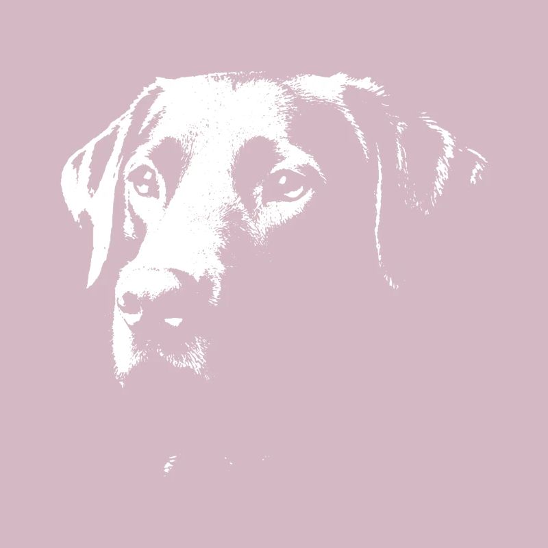Labrador design stylé