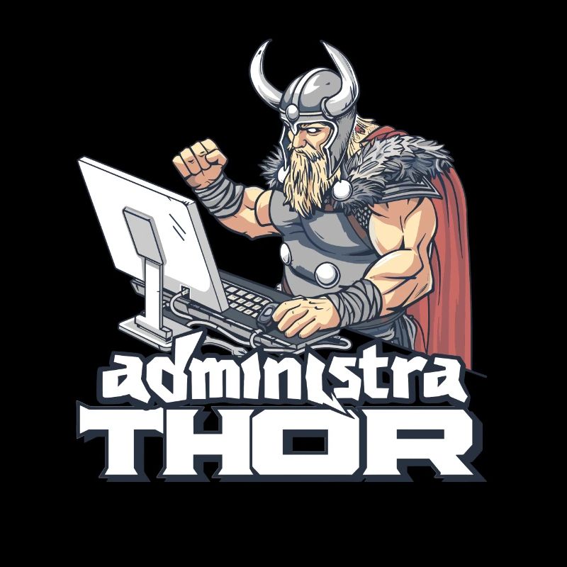Viking Databaseadministra-thor Nerdy