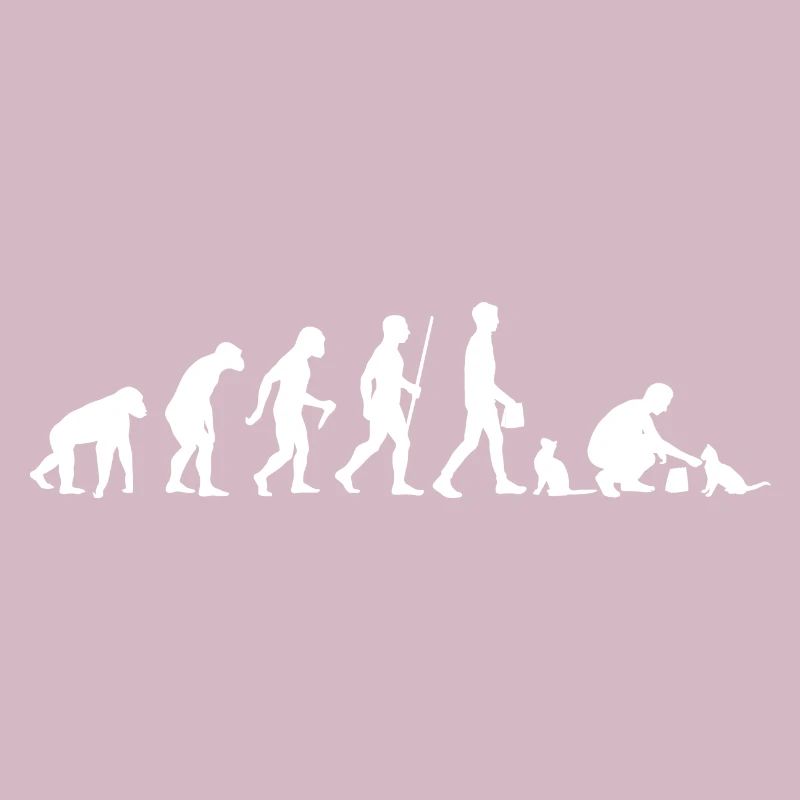 Evolution Cat Cat Owner Cat Owner
