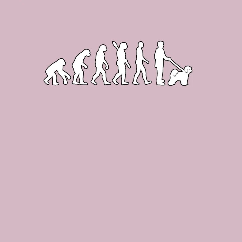 Tibet Terrier Evolution