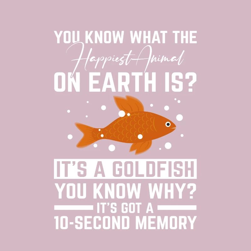 Goldfisch Aquariumfisch 10 Second Memory
