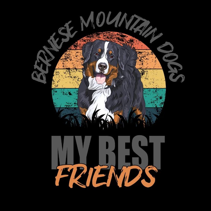 Bernese Mountain Dog