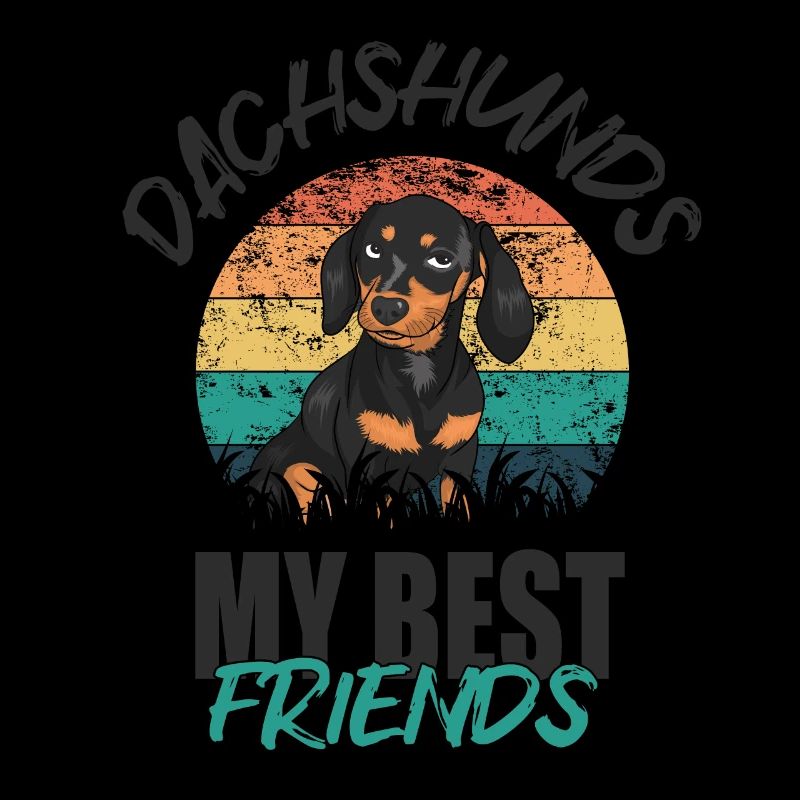 Dachshund