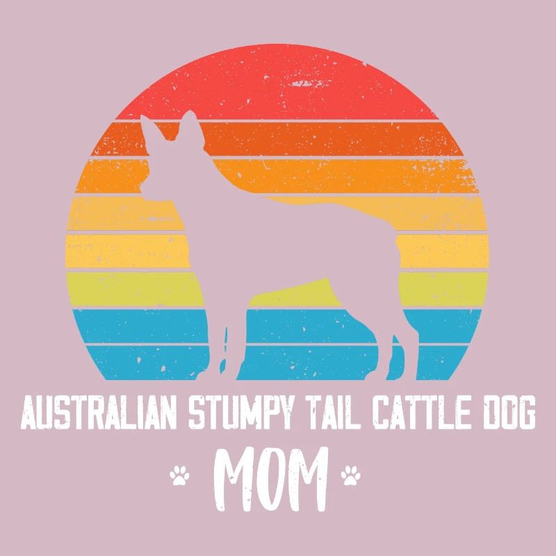Australian Stumpy Tail Cattle Dog