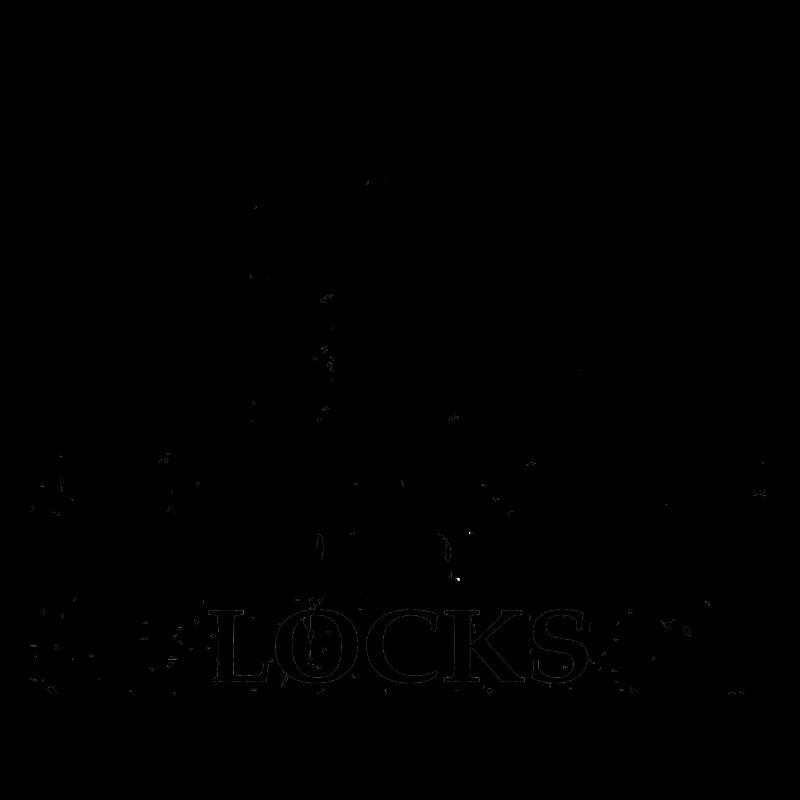 Lockpicking Expert Unlocking Service Lock Papa