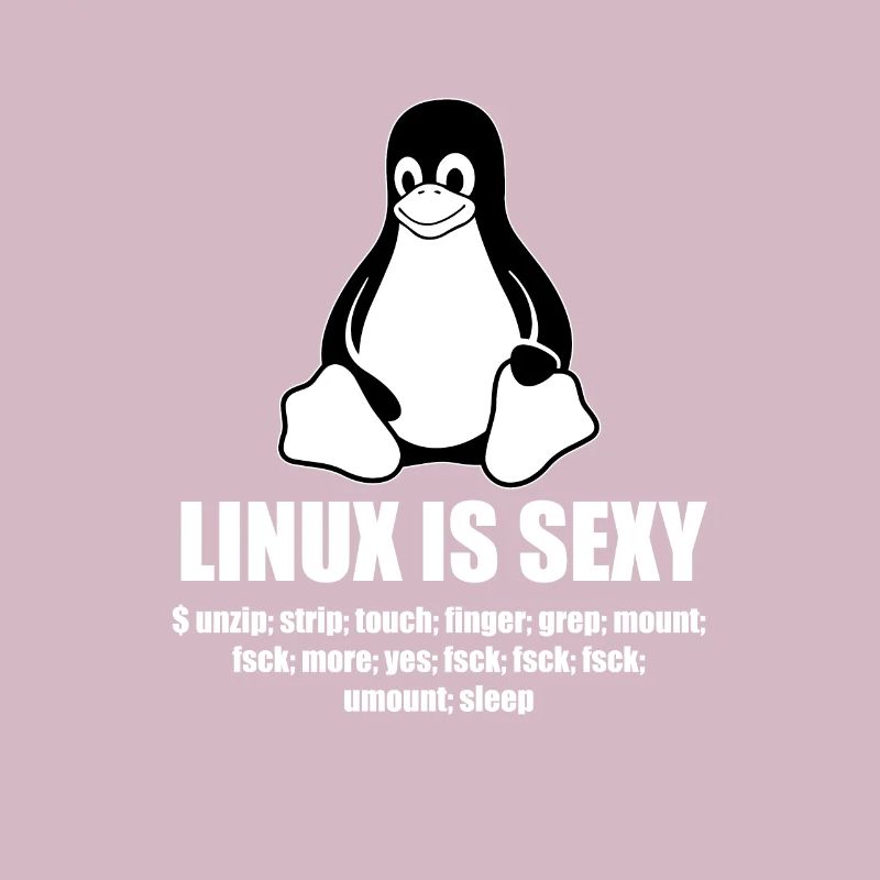 Linux Root SUDO Unix Shell Sexy cadeau drôle
