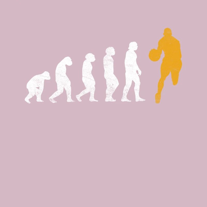 Evolution du basket