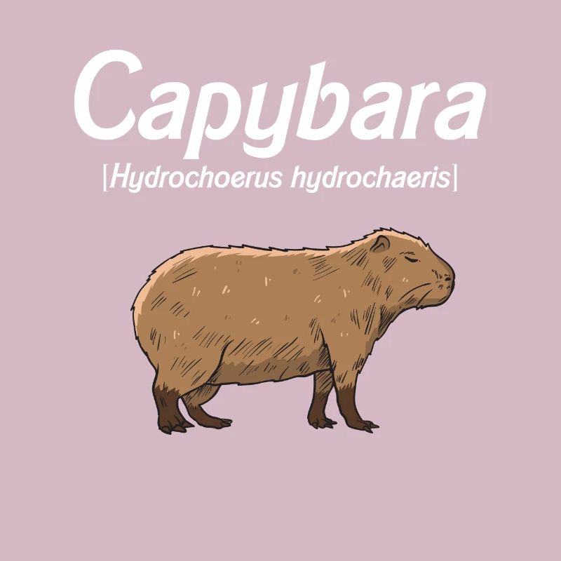 Capybara Geschenk Idee Süß Wasserschwein Capybara