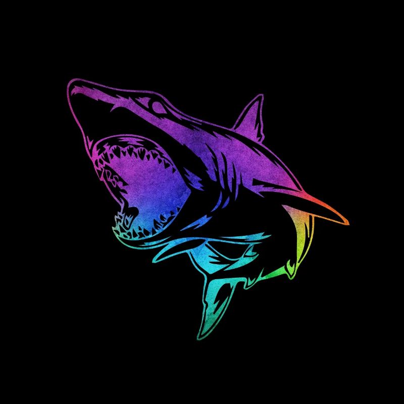 Requin contour coloré