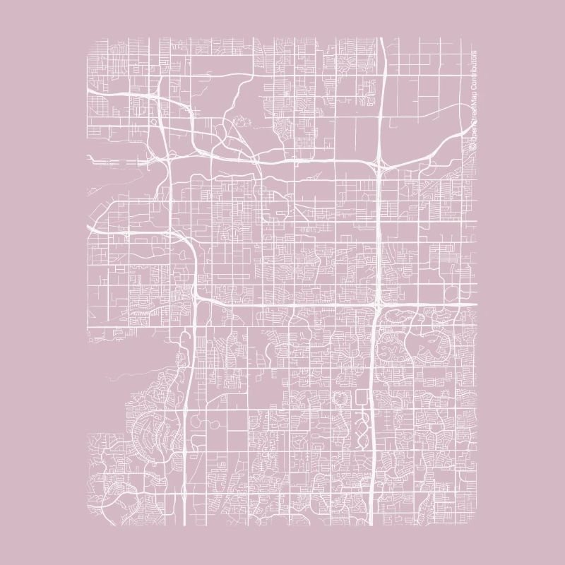 Minimal Tempe city map and streets