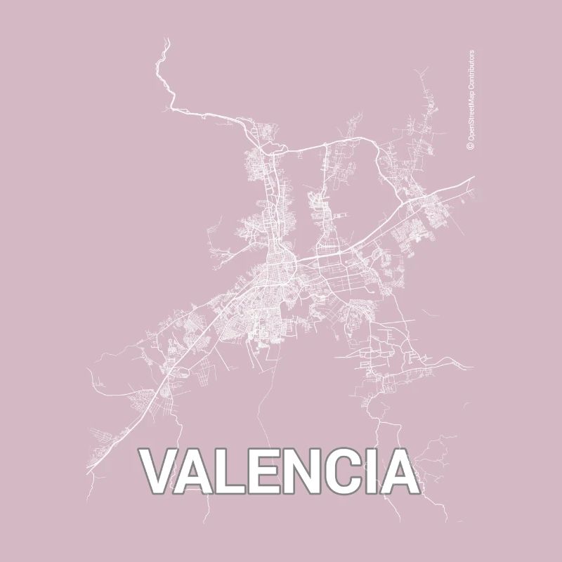 Plan et rues de Valence
