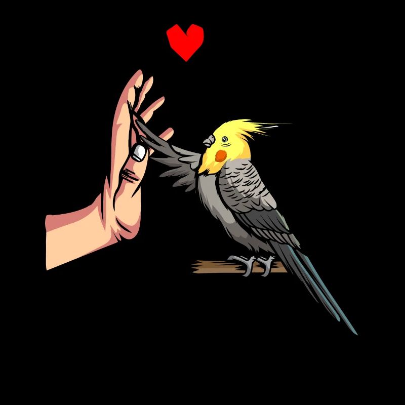 Nymphensittich Liebe Vogel Papagei