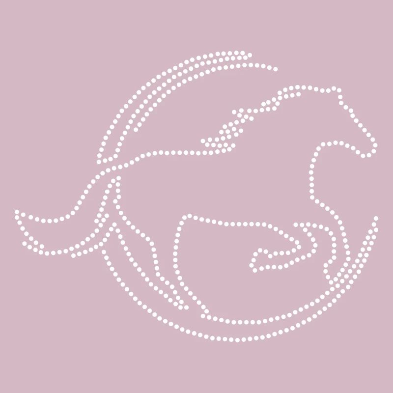 Strass de cheval