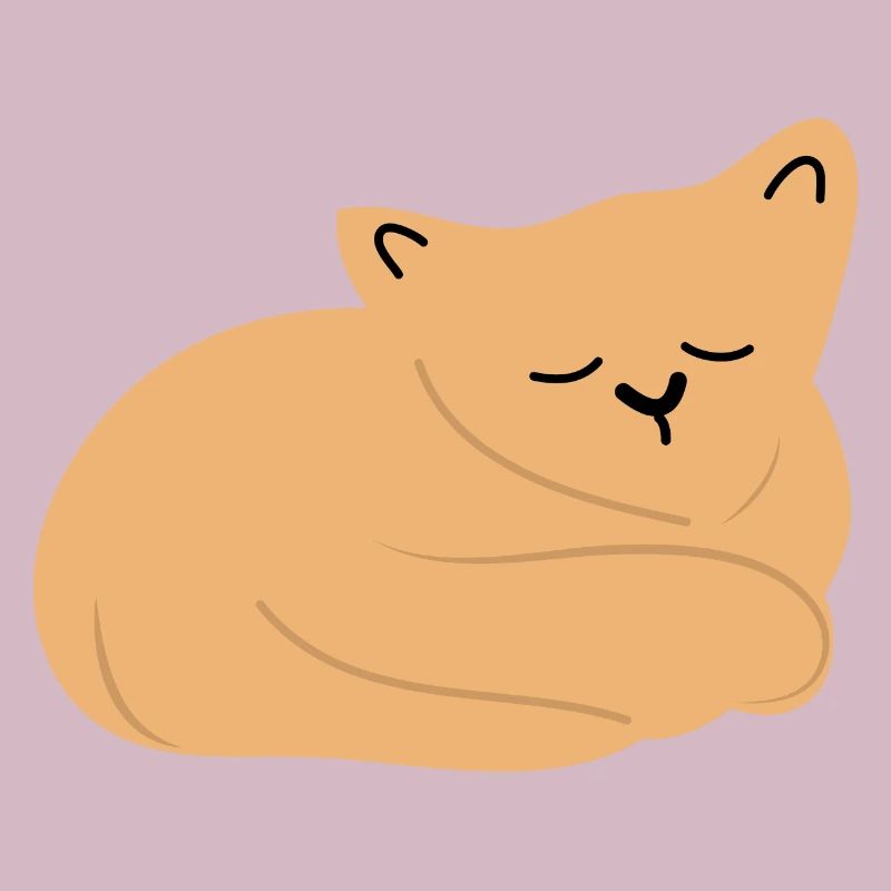 Bébé chat endormi2