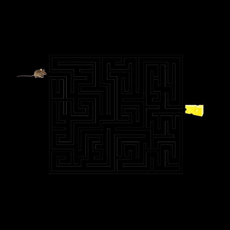 Labyrinth
