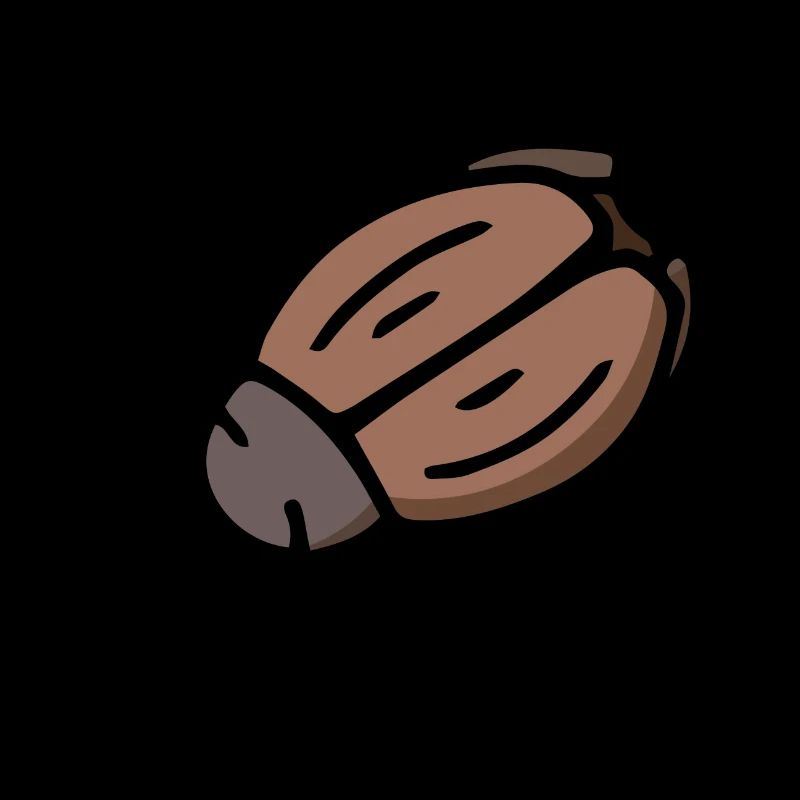 Glückskäfer Insekt Maikäfer Junikäfer