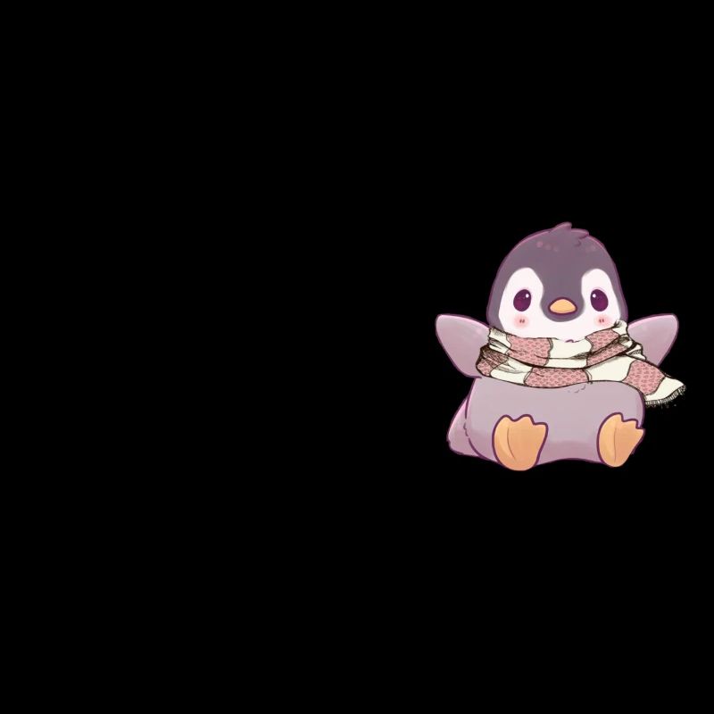 Pull Météo Pingouin Imprimé