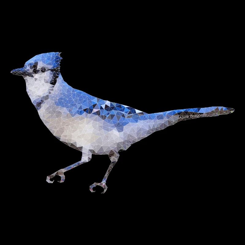 Vogel ~ der blaue Eichelhäher