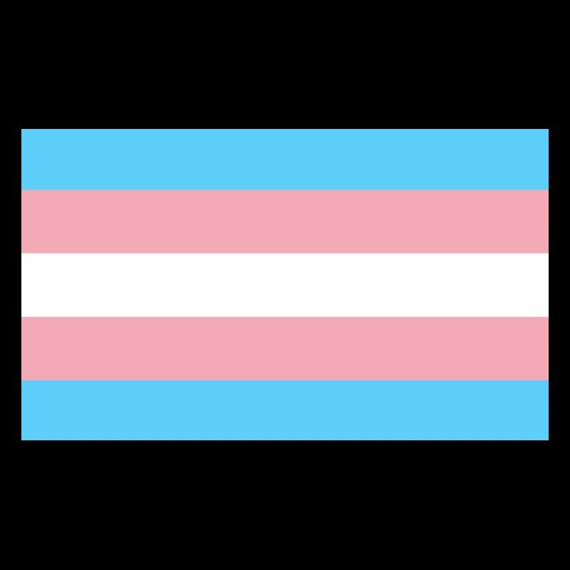 Drapeau Trans