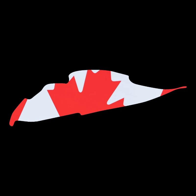 Piste de course du Canada avec drapeau