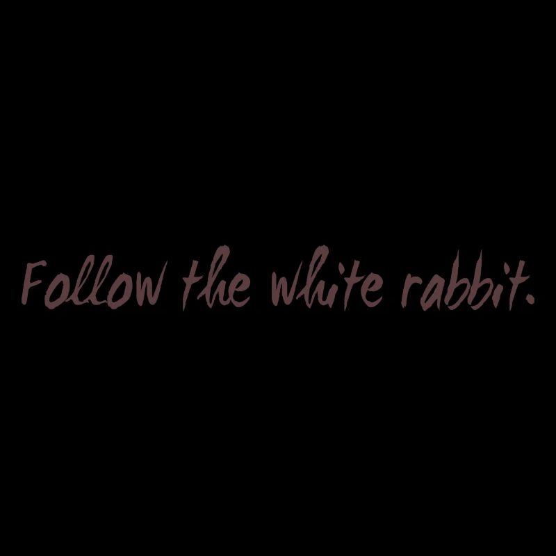 Follow the white rabbit programming cadeau