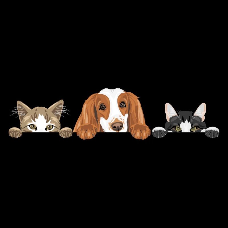 Cocker Spaniel chien et deux chats mignons