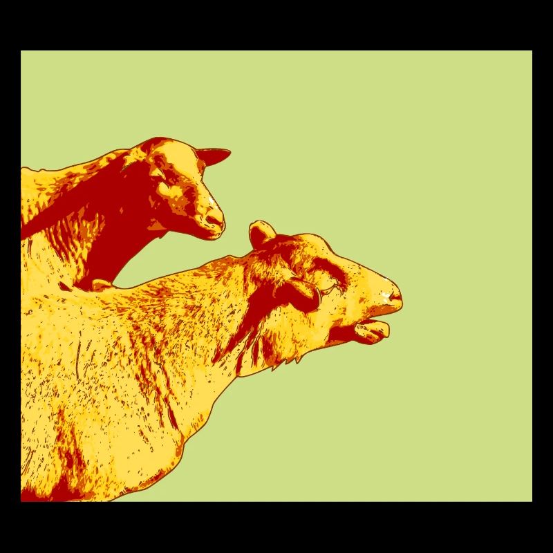 mouton