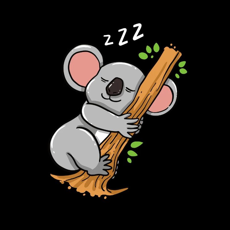 Koala sleeping koala bear australia
