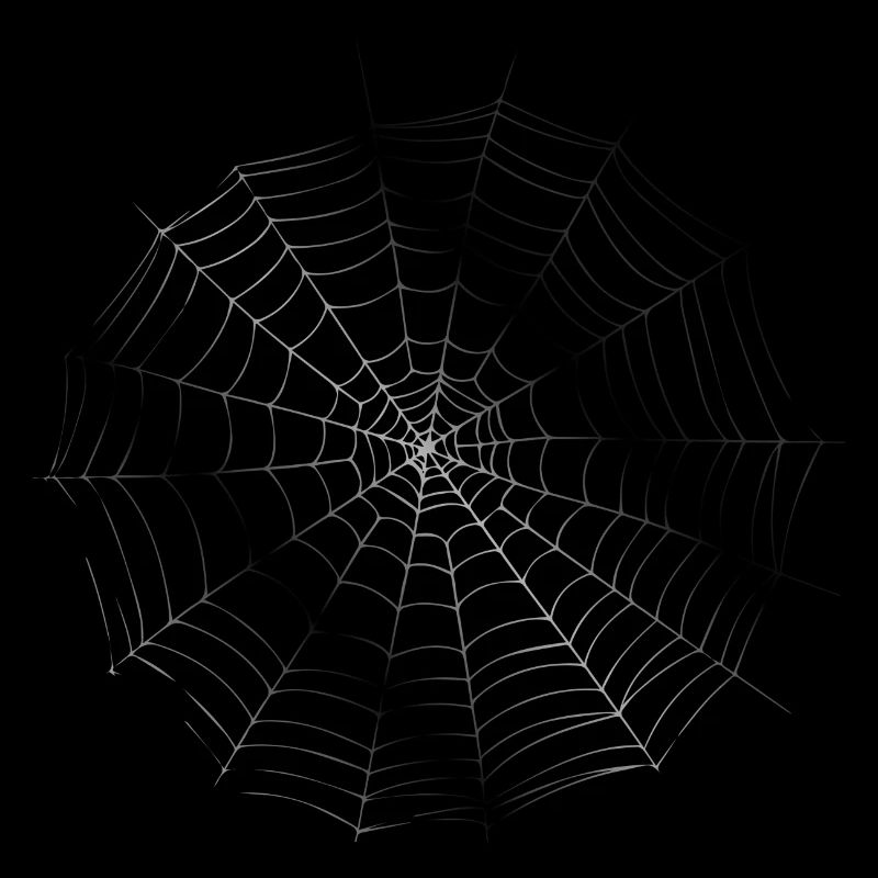Smiley Spiderweb