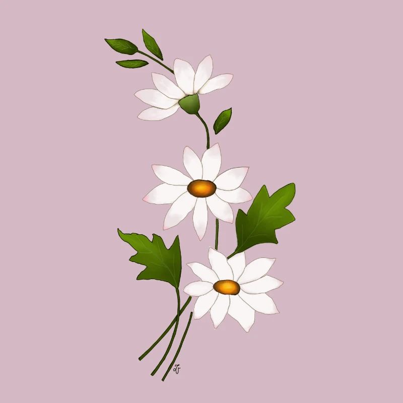 Gänseblümchenblüten