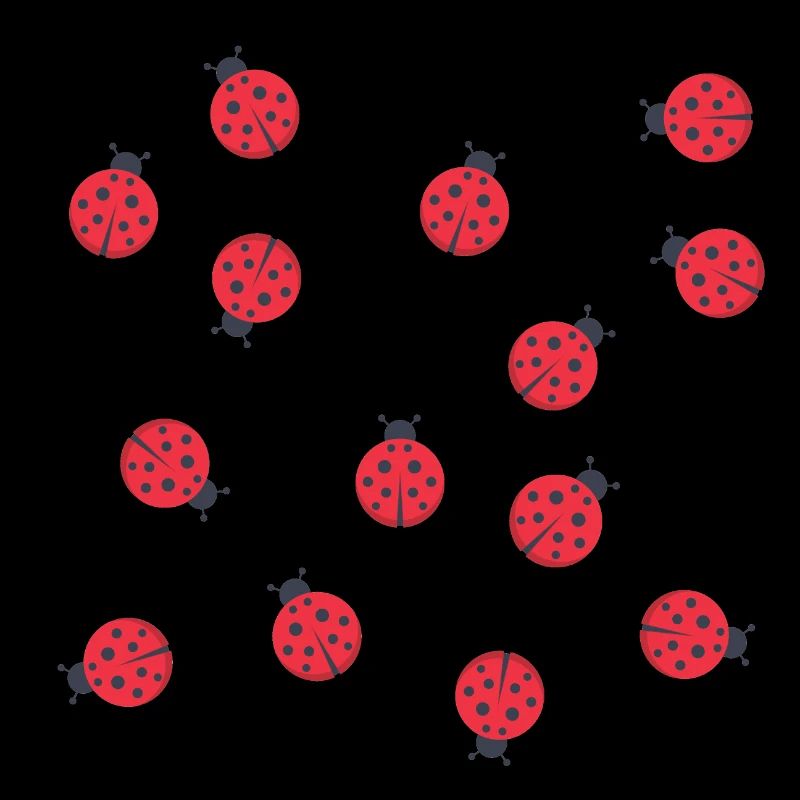 Marienkäfer