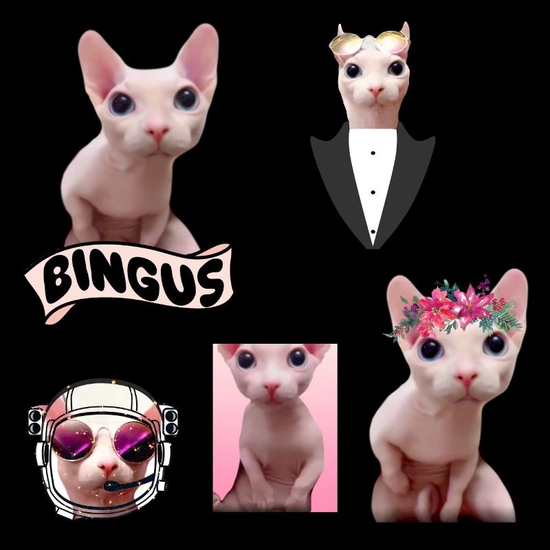 Bingus Meme