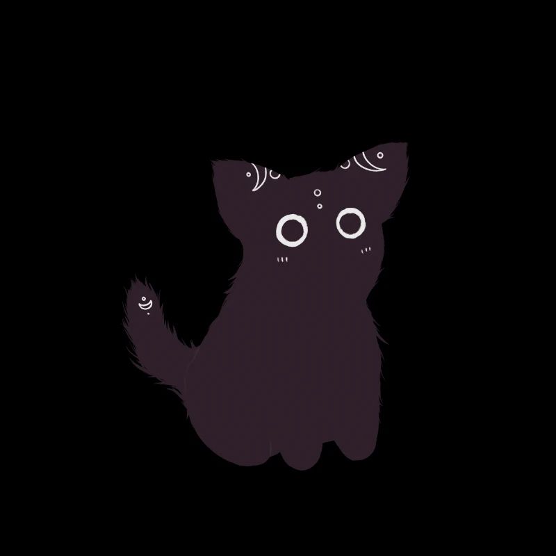 Chat noir mignon